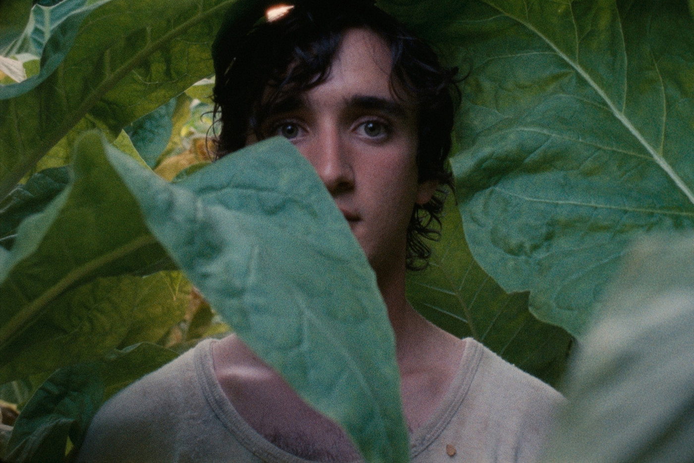 Happy as Lazzaro